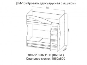 ДМ-16 Кровать двухъярусная с ящиком в Ишиме - ishim.магазин96.com | фото