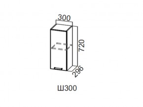 Ш300/720 Шкаф навесной 300/720 в Ишиме - ishim.магазин96.com | фото