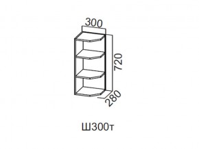 Ш300т/720 Шкаф навесной 300/720 (торцевой) в Ишиме - ishim.магазин96.com | фото