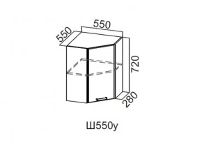 Ш550у/720 Шкаф навесной 550/720 (угловой) в Ишиме - ishim.магазин96.com | фото