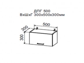 Шкаф верхний ДПГ500 горизонтальный в Ишиме - ishim.магазин96.com | фото