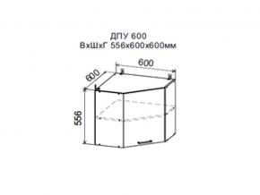 Шкаф верхний ДПУ600 угловой в Ишиме - ishim.магазин96.com | фото